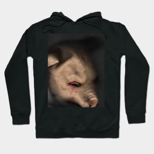 Porky Pig Hoodie